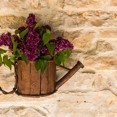 Pensjonat Martin And Gornji Karin