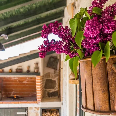 Martin And Pensjonat